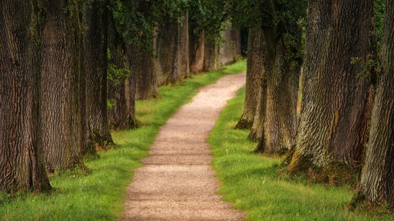 AllTrails