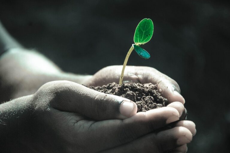 Plant-for-the-Planet