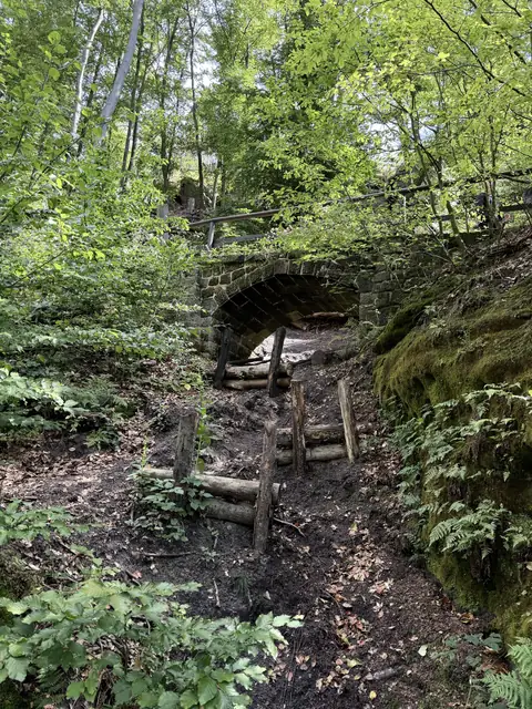Moosbewachsener Steinbogen über einem Waldweg – wasbraucheich.de