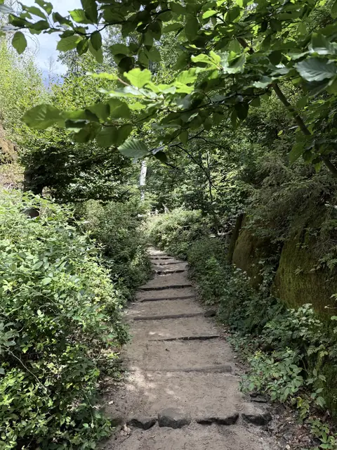 Treppenweg durch dichtes grünes Laub in der Böhmischen Schweiz – wasbraucheich.de