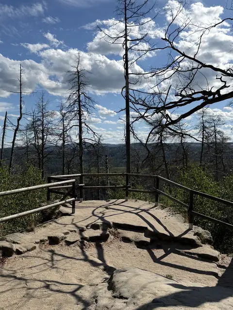 Aussichtspunkt mit den Spuren des Waldbrandes in der Böhmischen Schweiz – wasbraucheich.de
