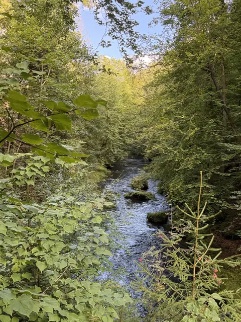 Die Kamenice zwischen dichtem Grün auf dem Weg zur Klamm – wasbraucheich.de
