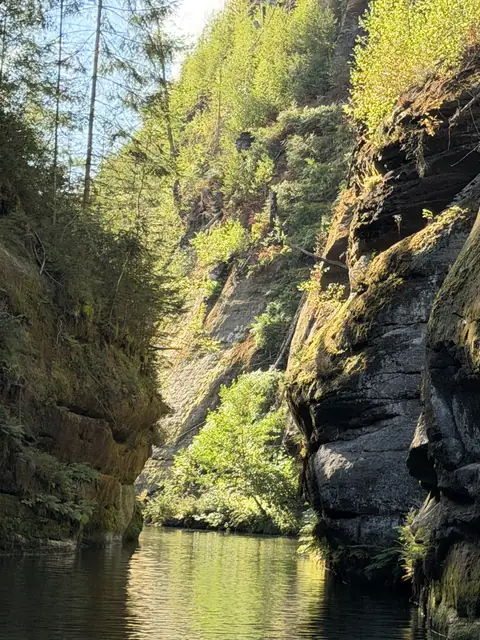 Grün bewachsene Schluchtwand über dem Wasser – wasbraucheich.de