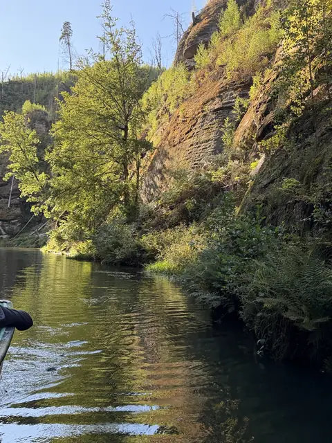 Der Wasserlauf zwischen den bewachsenen Felswänden – wasbraucheich.de