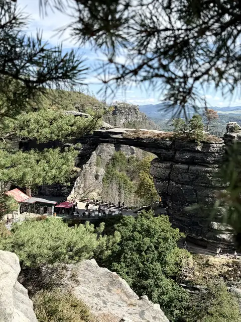 Felsen und Kiefern über dem Tal am Prebischtor – wasbraucheich.de