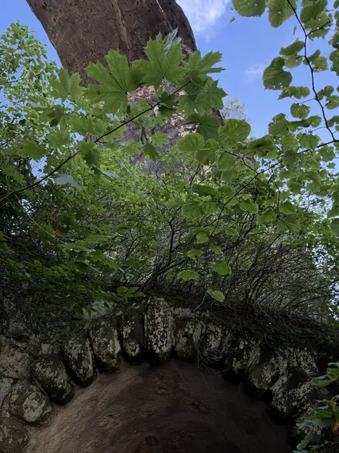 Blick nach oben durch einen alten Steinbogen ins Laub – wasbraucheich.de