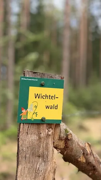 Waldweg in der Dippoldiswalder Heide am Beginn des Wichtelpfads – wasbraucheich.de
