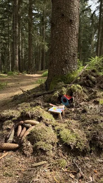 Waldlichtung mit den ersten Wichtelhäuschen zwischen den Bäumen – wasbraucheich.de