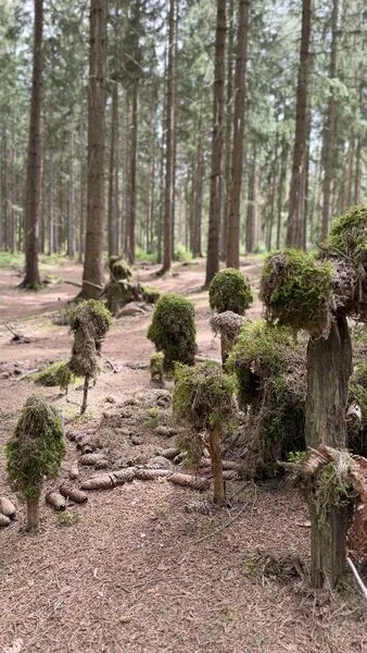 Von Hand gebaute Wichtelwelt aus Naturmaterial im Wald – wasbraucheich.de