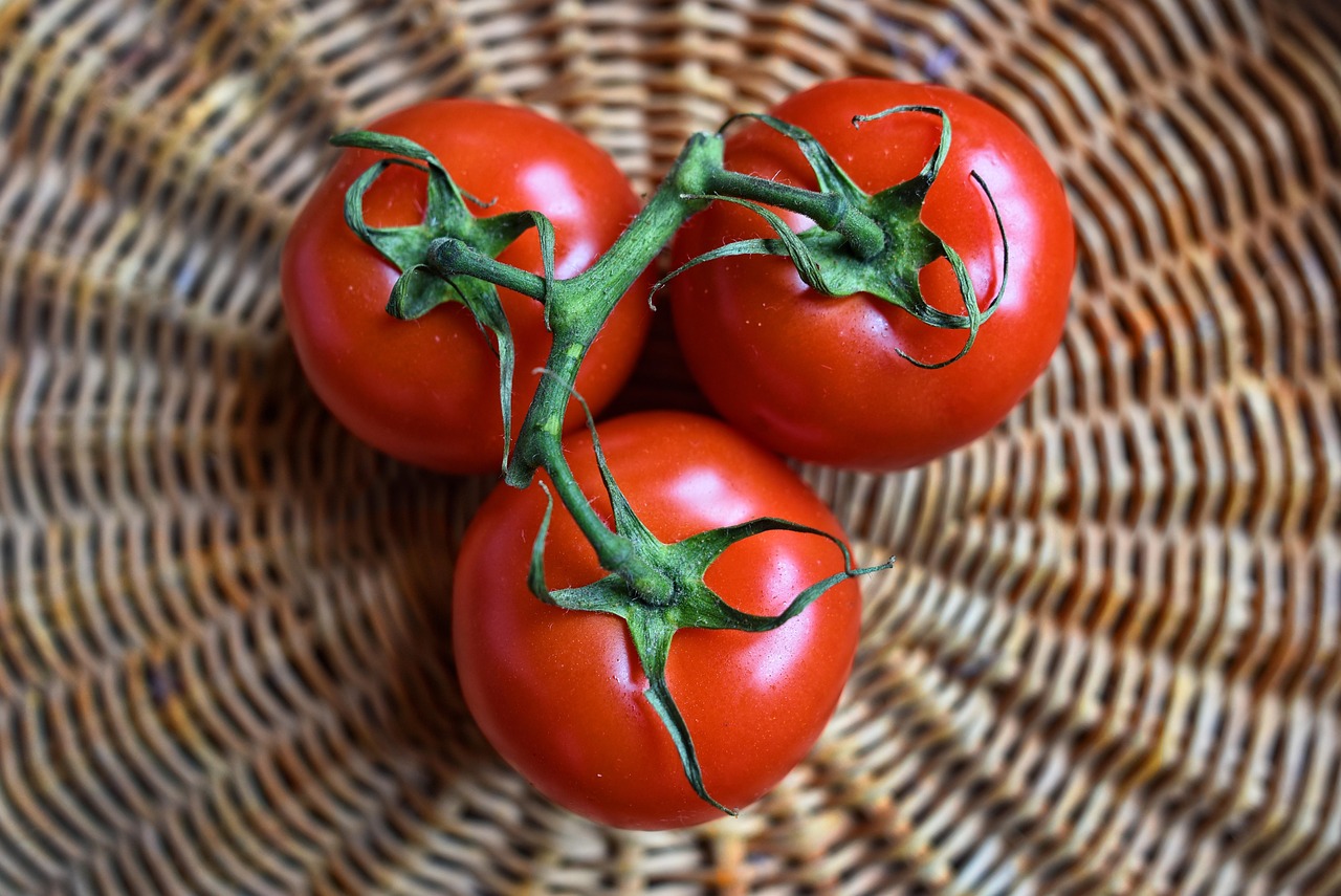 Frische Tomaten