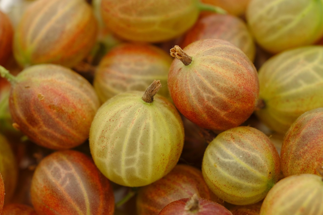 Natur und Lebensmittel