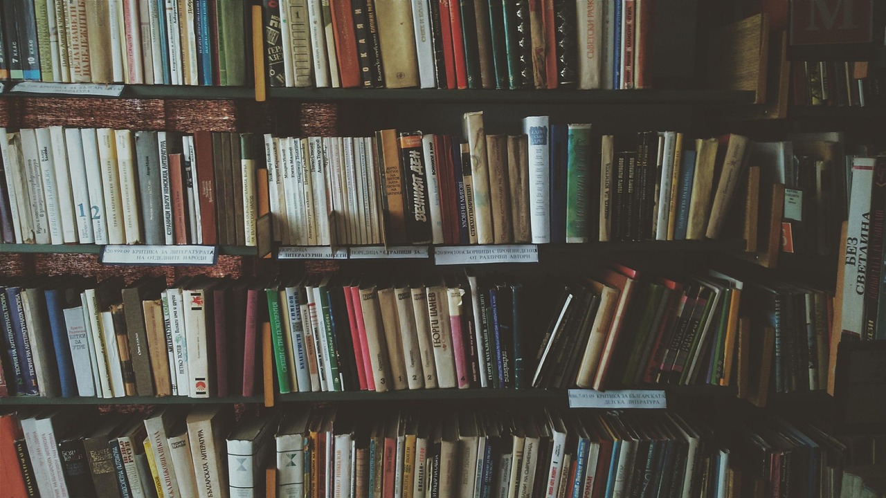 Wissen und Bildung
