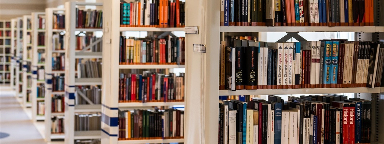 Wissen und Bildung