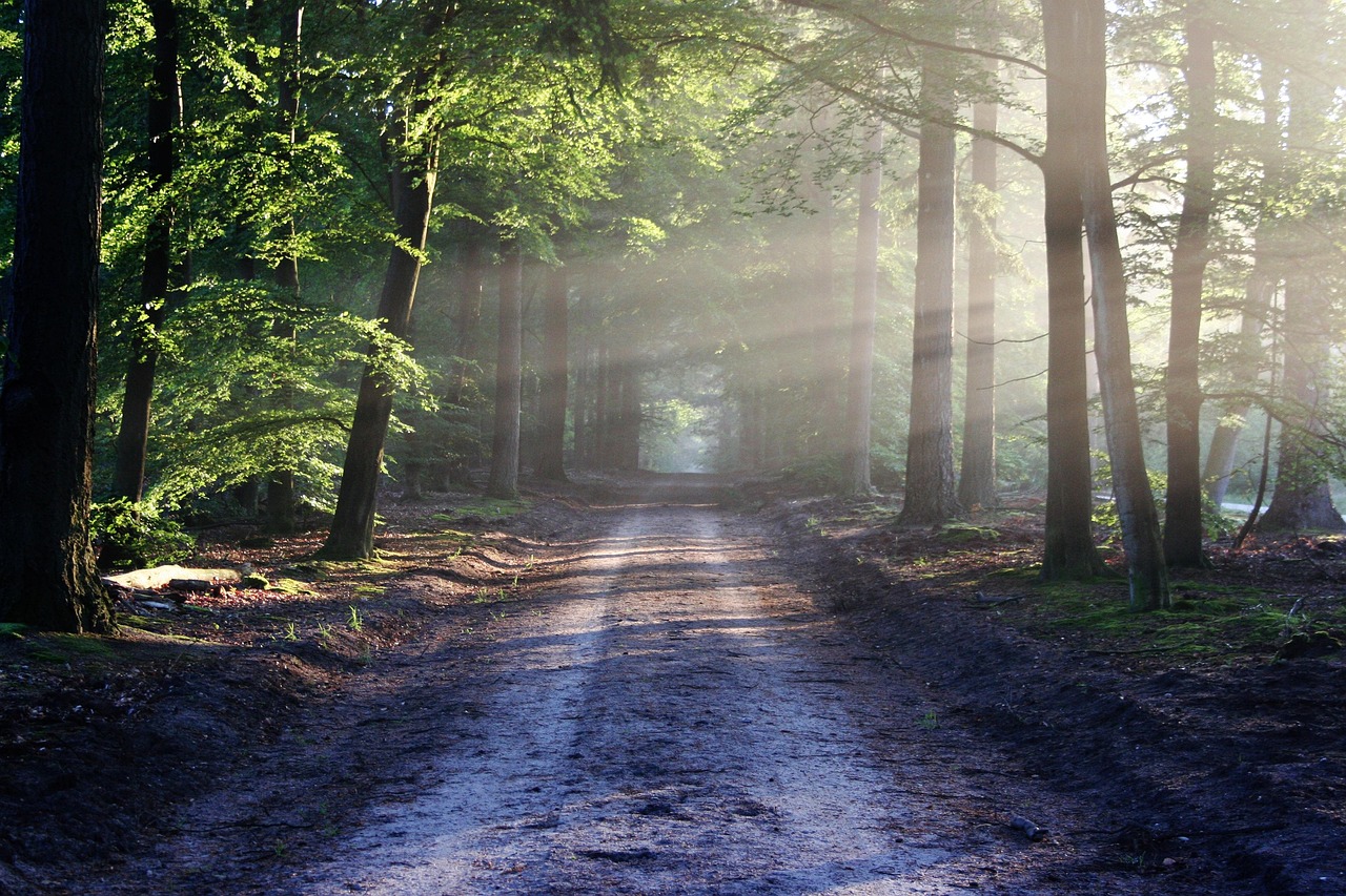 Sonne und Bewegung